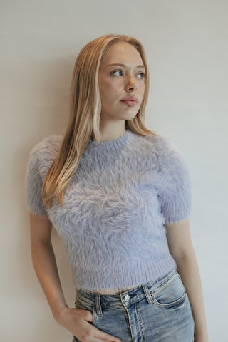 Periwinkle Fluffy Knit Top